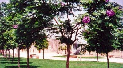 Uno scorcio di piazza Cappuccini